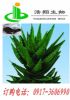 aloes extract